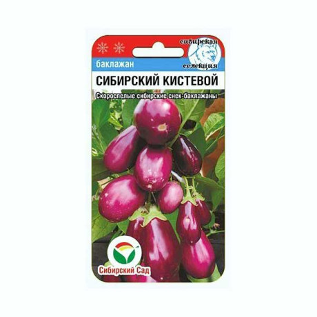 Баклажан Сибирский кистевой СибСад Цх10