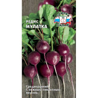 Редис Мулатка Седек Ц