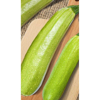 Кабачок Суха F1 5шт Sakata/Садовита Ц