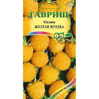 Малина Желтая ягодка Гавриш Ц