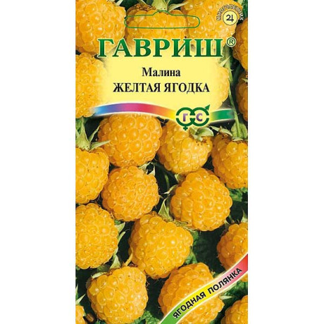 Малина Желтая ягодка Гавриш Ц