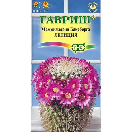 Маммиллярия Бакеберга (Кактус) Летиция Гавриш Ц