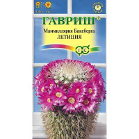 Маммиллярия Бакеберга (Кактус) Летиция Гавриш Ц