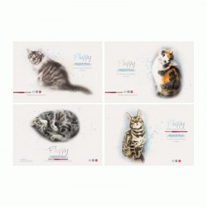 Альбом для рисования 24л., А4, на скрепке BG "Акварельные котики" Арт.339410