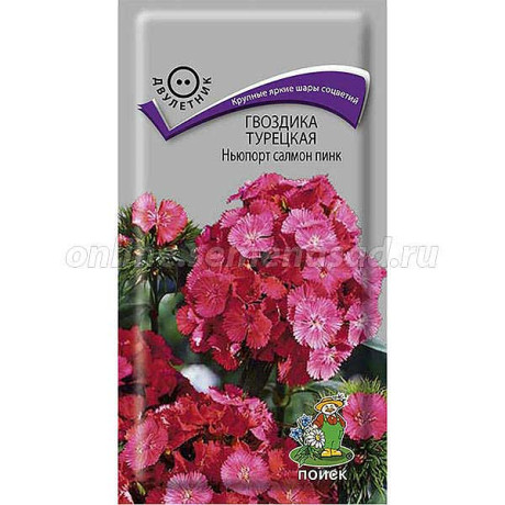 Гвоздика турецкая Ньюпорт салмон пинк Поиск Ц