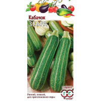 Кабачок Зебра Гавриш Ц