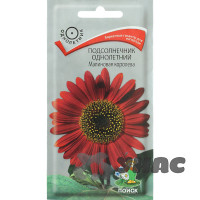 Подсолнечник Малиновая королева Поиск Ц