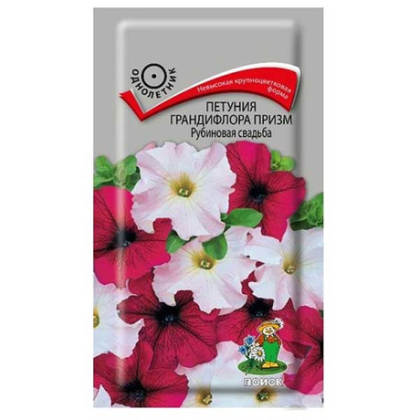 Петуния Призм Рубиновая свадьба Поиск Ц