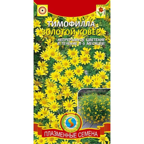 Семена Тимофилла Золотой ковер Плазма Ц
