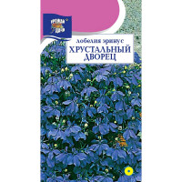 Лобелия Хрустальный дворец Урожай у дачи Цх10