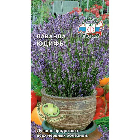 Лаванда Юдифь Седек Ц