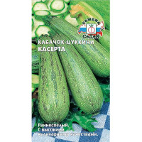 Кабачок Касерта Седек Ц