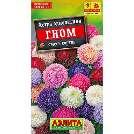 Астра Гном смесь Аэлита Ц