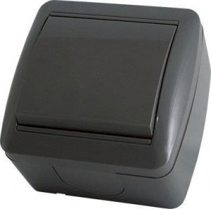 TDM Селигер выкл. ОУ 1 кл. IP44 10А графит (10!) SQ1818-0301