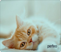 Perfeo Коврик для комп. мыши "Cat", Рис.8 (350x250x4 мм), ткань+резин.основание PF_D0649