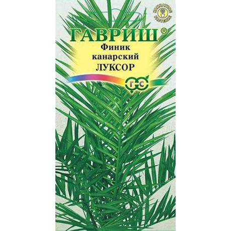 КОМ Финик канарский Луксор Гавриш Ц