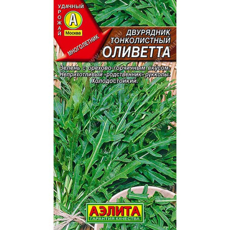 Двурядник Оливетта тонколист.  Аэлита Ц