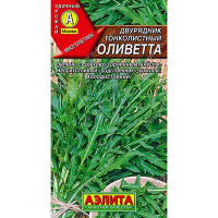 Двурядник Оливетта тонколист. Аэлита Ц