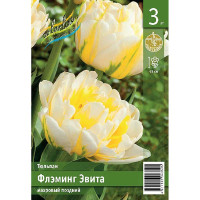 Тюльпан Флэминг Эвита 11/12 2 шт