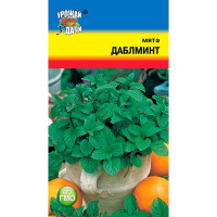 Мята Даблминт Урожай у дачи Ц