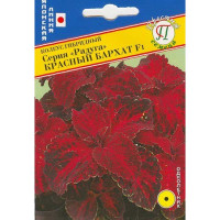 Колеус Радуга Красный бархат Престиж Ц