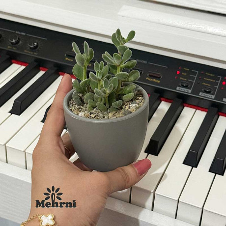 Горшок 0,17л серый 101/7.5-3 х48