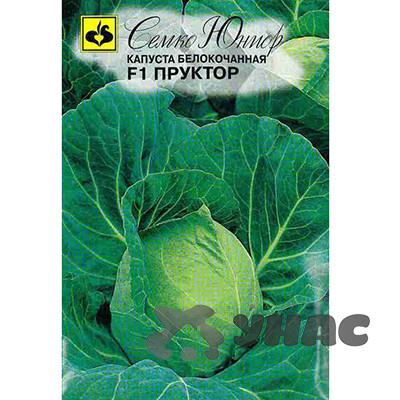 Капуста Пруктор Семко Ц
