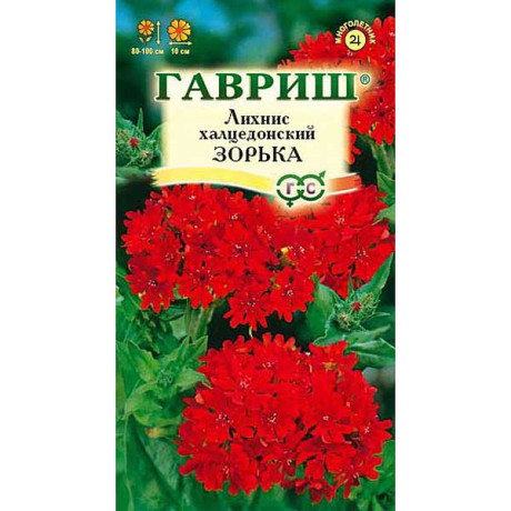 Лихнис Зорька Гавриш Ц