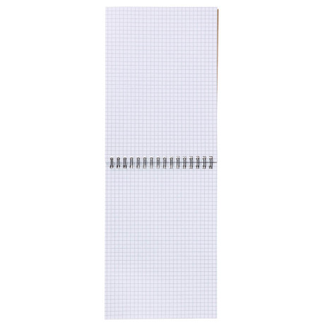 Блокнот Русские Супергерои, формат А5, 80 листов, клетка, мягкий переплет, спираль, в ассортим.