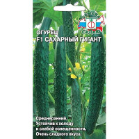 Огурец Сахарный Гигант Седек Ц