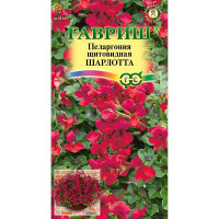КОМ Пеларгония Шарлотта Гавриш Цх10