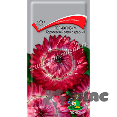 Гелихризиум Королевский размер красный Поиск Ц