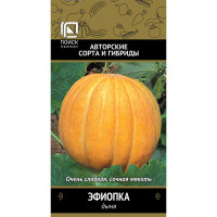 Дыня Эфиопка Поиск Ц