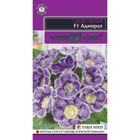 КОМ Глоксиния Адмирал Гавриш Ц