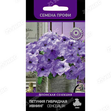 Петуния Ивнинг Сенсейшен Поиск Ц