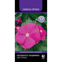 Катарантус Пацифика Дип Орхид Поиск Ц