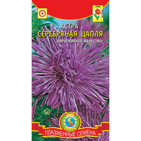Астра Серебряная цапля Плазма Ц