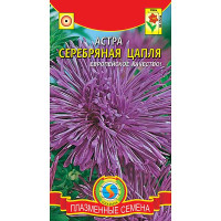 Астра Серебряная цапля Плазма Ц