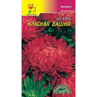 Астра Башня Красная пионовидная ЦветСад Ц