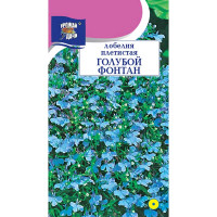 Лобелия Голубой фонтан Урожай у дачи Цх10
