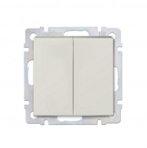 Smartbuy Нептун мех. выкл. СУ 2-клавишный 10А бежевый  (SBE-05i-10-SW2-0)