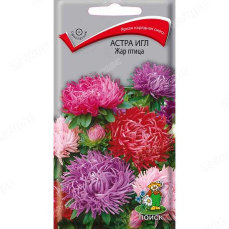Астра Игл Жар-птица Поиск Ц