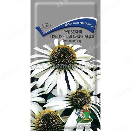 Рудбекия Белая лебедь пурпурная Поиск Ц