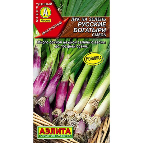 Лук на зелень Русские богатыри Аэлита Ц