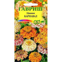 Циния Карнавал Гавриш Ц