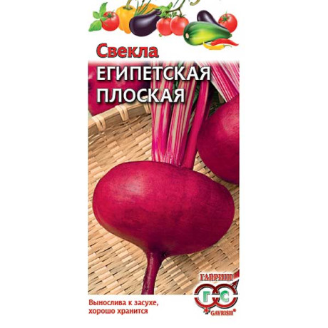 Свекла Египетская плоская Гавриш Ц