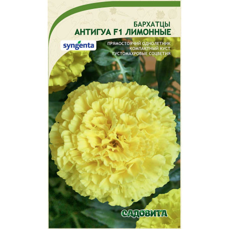 Бархатцы Антигуа F1 Лимонные 5шт Syngenta/Садовита Ц