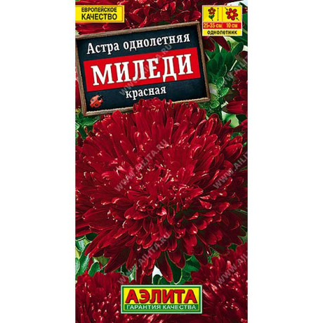 Астра Миледи красная Аэлита Ц
