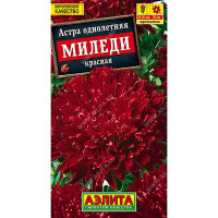 Астра Миледи красная Аэлита Ц