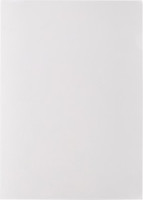 Папка уголок ПУ-001-ПП 120мкр жест.пластик А4 прозр 20 шт/уп 741656